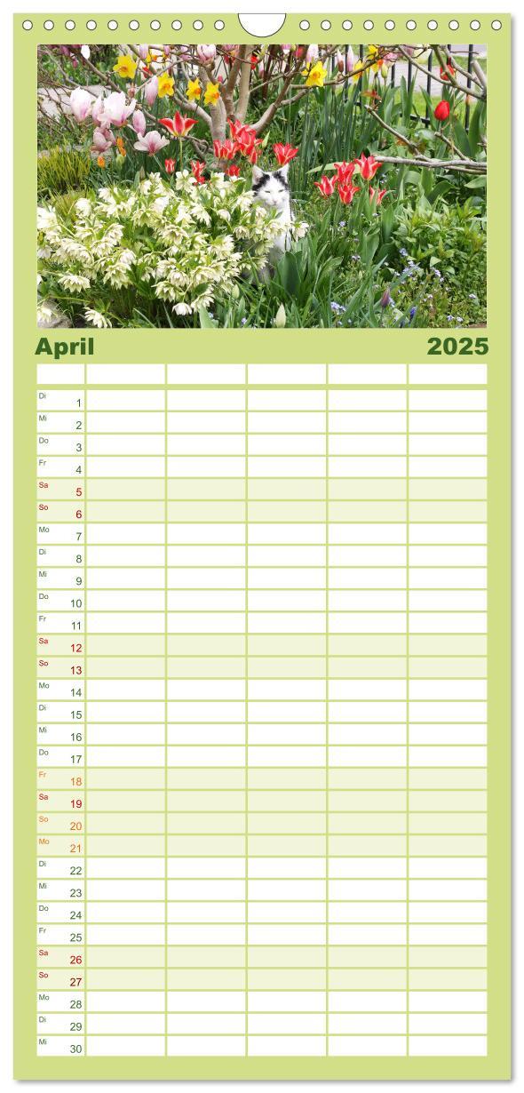 Bild: 9783457100653 | Familienplaner 2025 - Urlaub im Garten mit 5 Spalten (Wandkalender,...