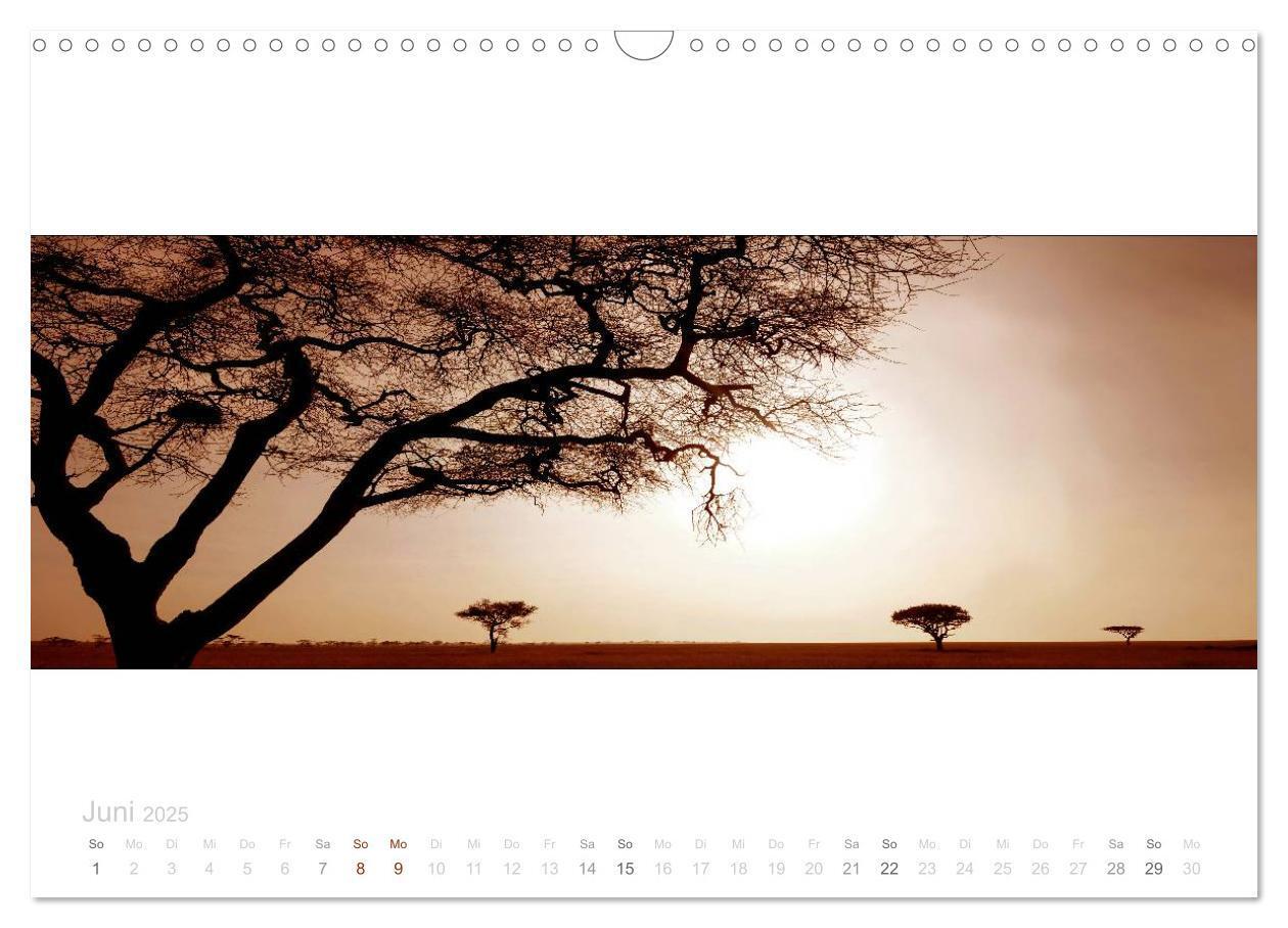 Bild: 9783435687145 | Serengeti Panorama (Wandkalender 2025 DIN A3 quer), CALVENDO...