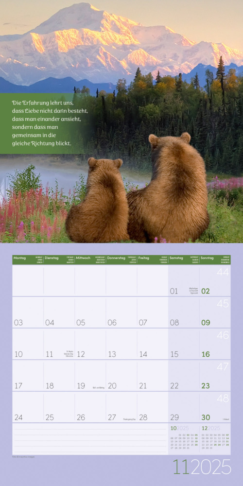 Bild: 9783838445335 | Alles wird gut! Kalender 2025 - 30x30 | Ackermann Kunstverlag | 28 S.