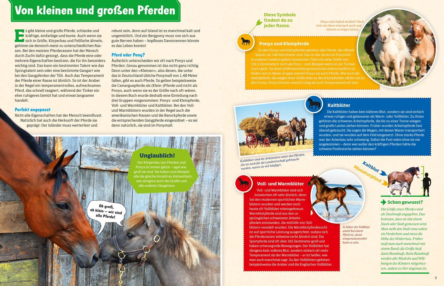 Bild: 9783788621865 | Was ist was: Pferde und Ponys | Silke Behling | Buch | 192 S. | 2016