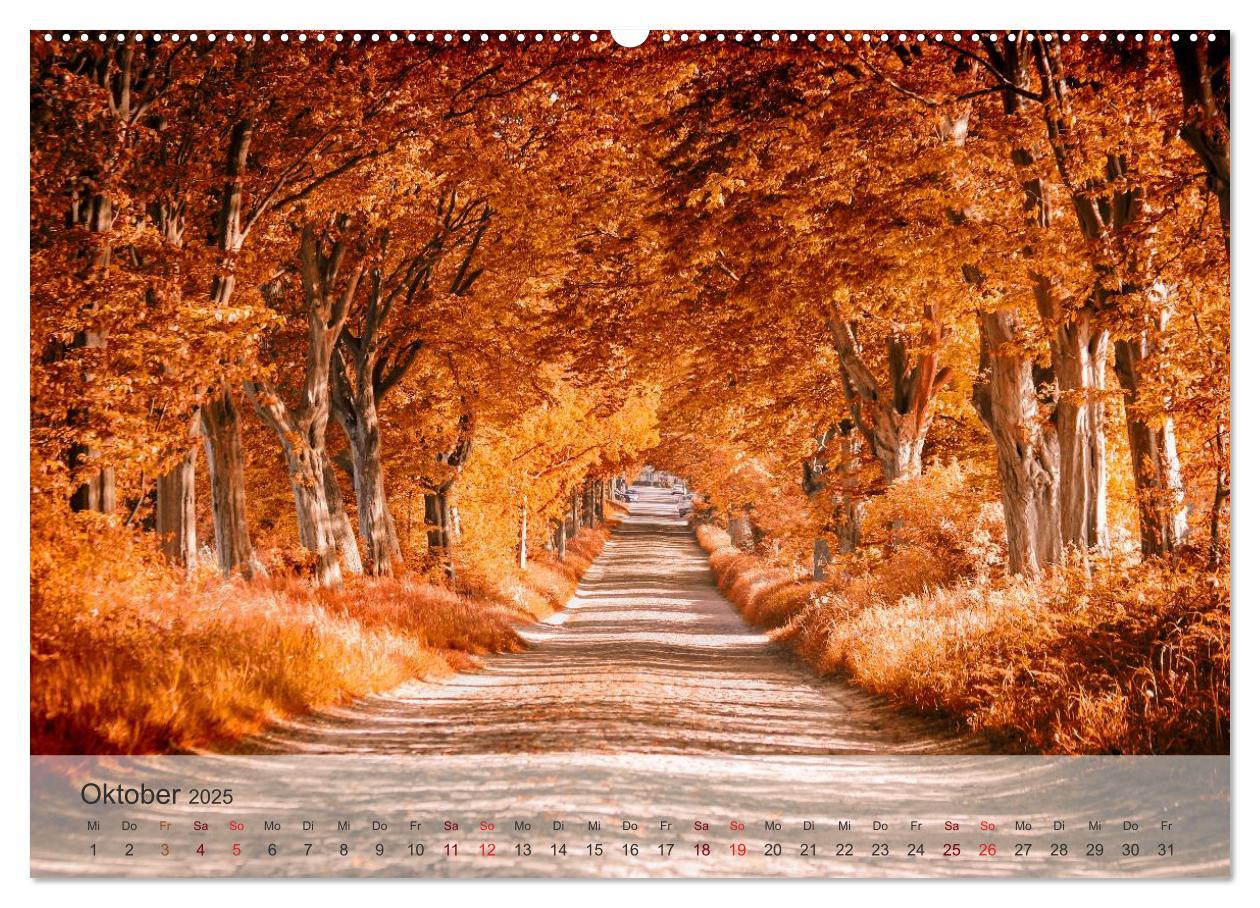 Bild: 9783435502523 | Insel Rügen und Hiddensee (Wandkalender 2025 DIN A2 quer), CALVENDO...