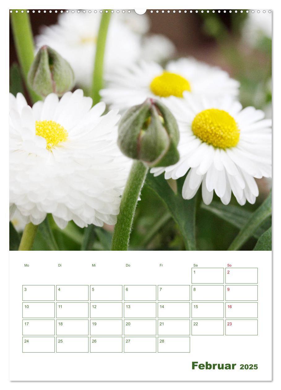 Bild: 9783435965038 | Weiße Blüten im Grünen (Wandkalender 2025 DIN A2 hoch), CALVENDO...