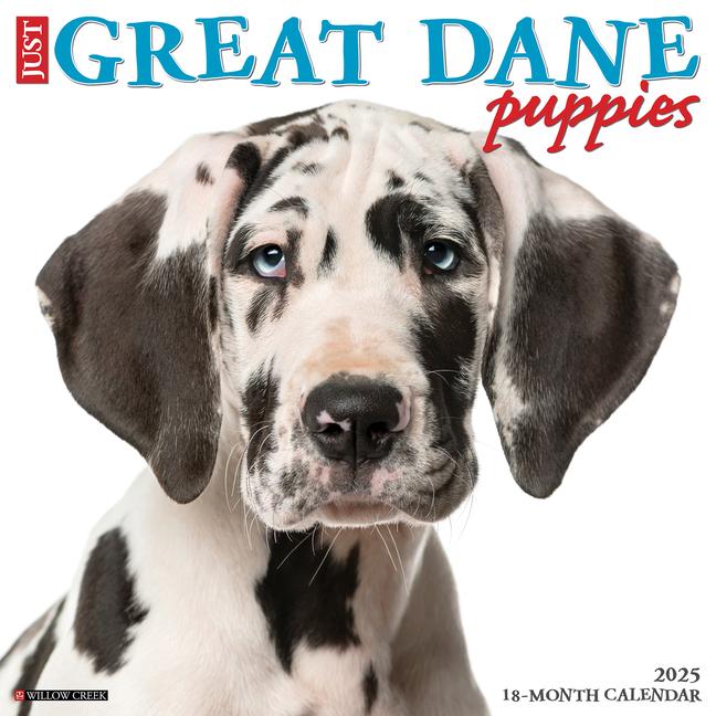 Cover: 9781549243189 | Just Great Dane Puppies 2025 12 X 12 Wall Calendar | Press | Kalender