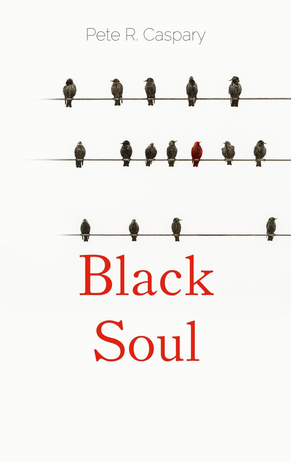 Cover: 9783750470835 | Black Soul | Ein Jahr im Leben von Popp | Pete R. Caspary | Buch