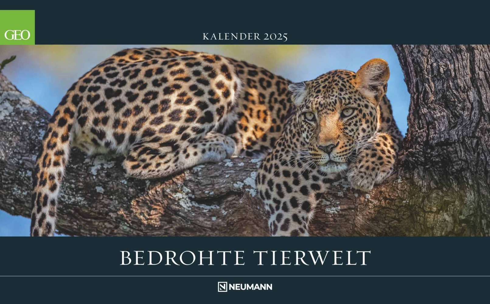 Cover: 4002725988645 | GEO - Bedrohte Tierwelt 2025 Wandkalender, 58x36cm, Posterkalender...