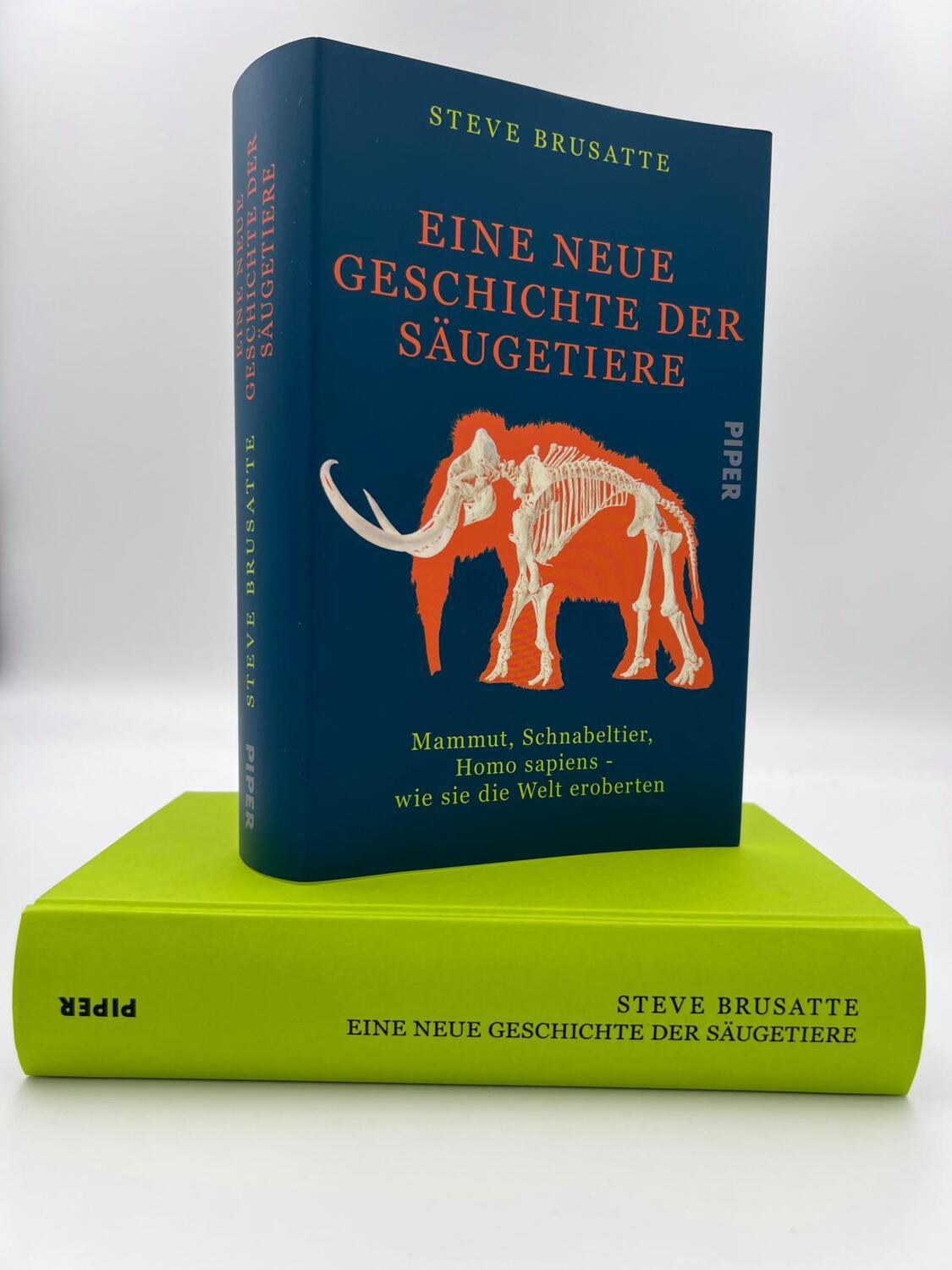 Bild: 9783492071932 | Eine neue Geschichte der Säugetiere | Steve Brusatte | Buch | 528 S.