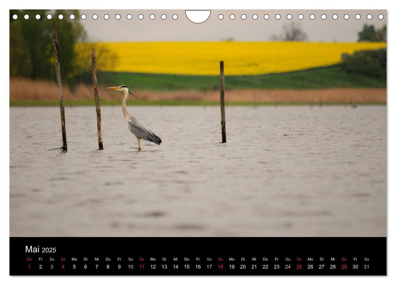 Bild: 9783435641734 | Wasserwandern in Mecklenburg-Vorpommern (Wandkalender 2025 DIN A4...