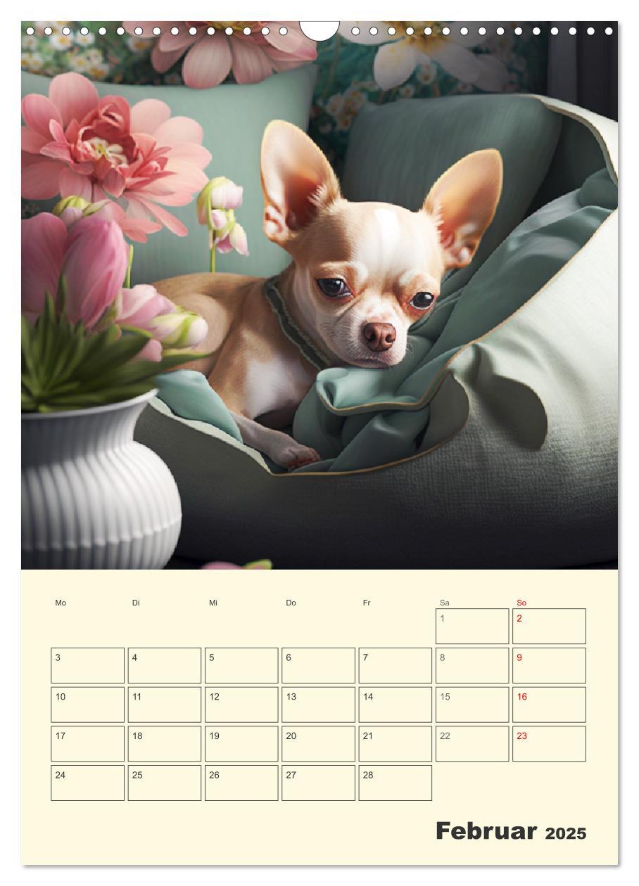 Bild: 9783435875672 | Witzige Chihuahuas. Glückliche Temperamentbündel (Wandkalender 2025...