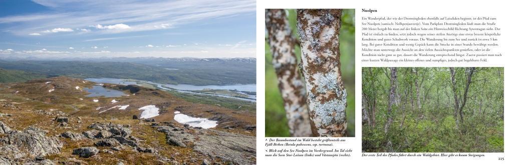 Bild: 9789198331004 | Lappland - Eine Reise in die letzte Wildnis Europas | Idelmann | Buch