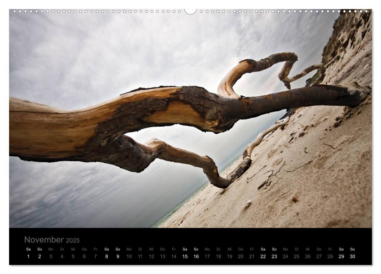 Bild: 9783435802128 | Natur im Detail (Wandkalender 2025 DIN A2 quer), CALVENDO...