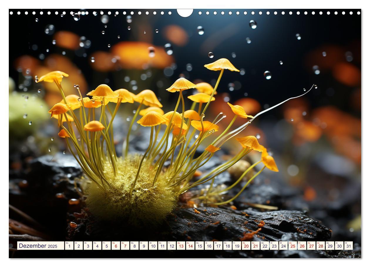 Bild: 9783383869785 | Wunderwelt Mikrokosmos (Wandkalender 2025 DIN A3 quer), CALVENDO...