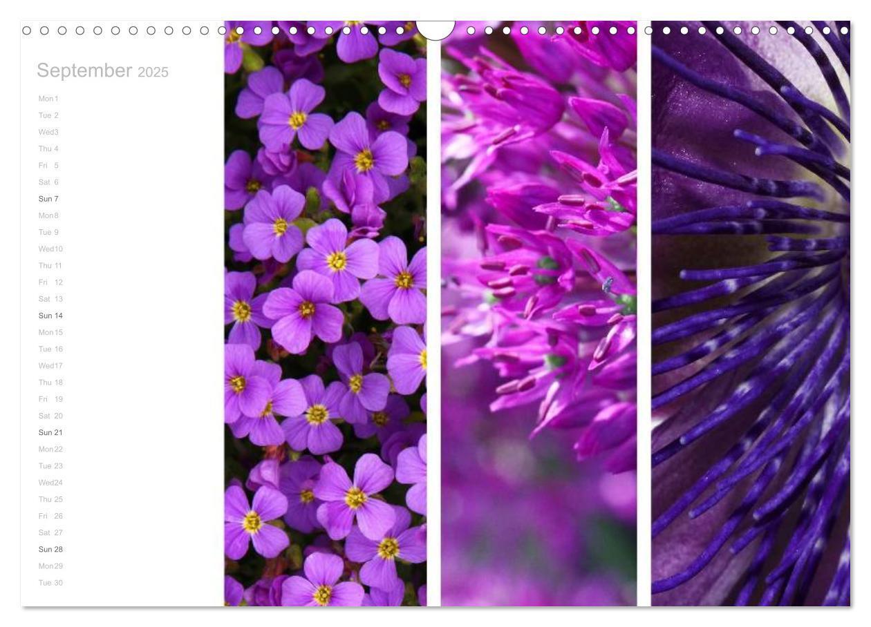 Bild: 9781325962907 | Natural Trios (Wall Calendar 2025 DIN A3 landscape), CALVENDO 12...