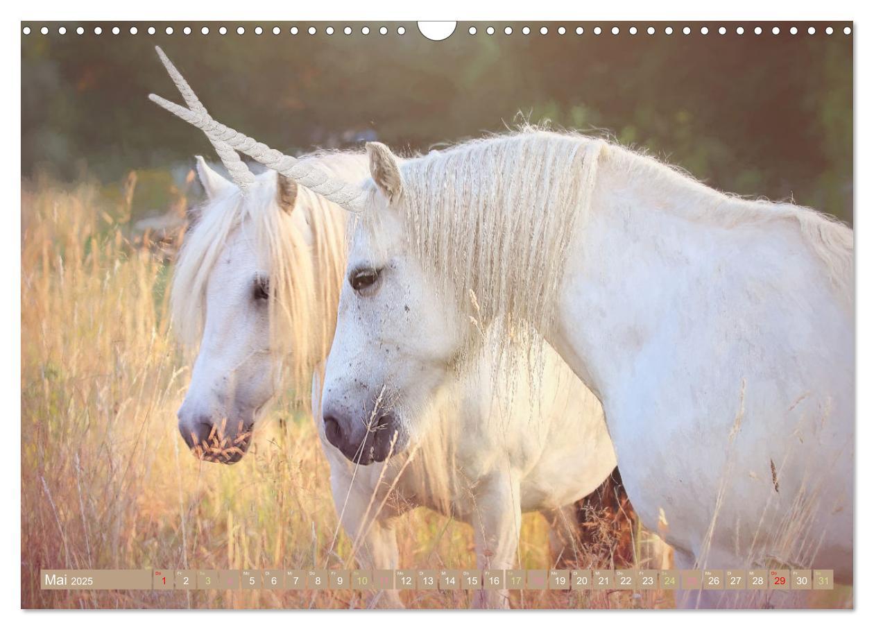 Bild: 9783383960000 | Einhorn Zauber - anmutige Einhornbilder (Wandkalender 2025 DIN A3...