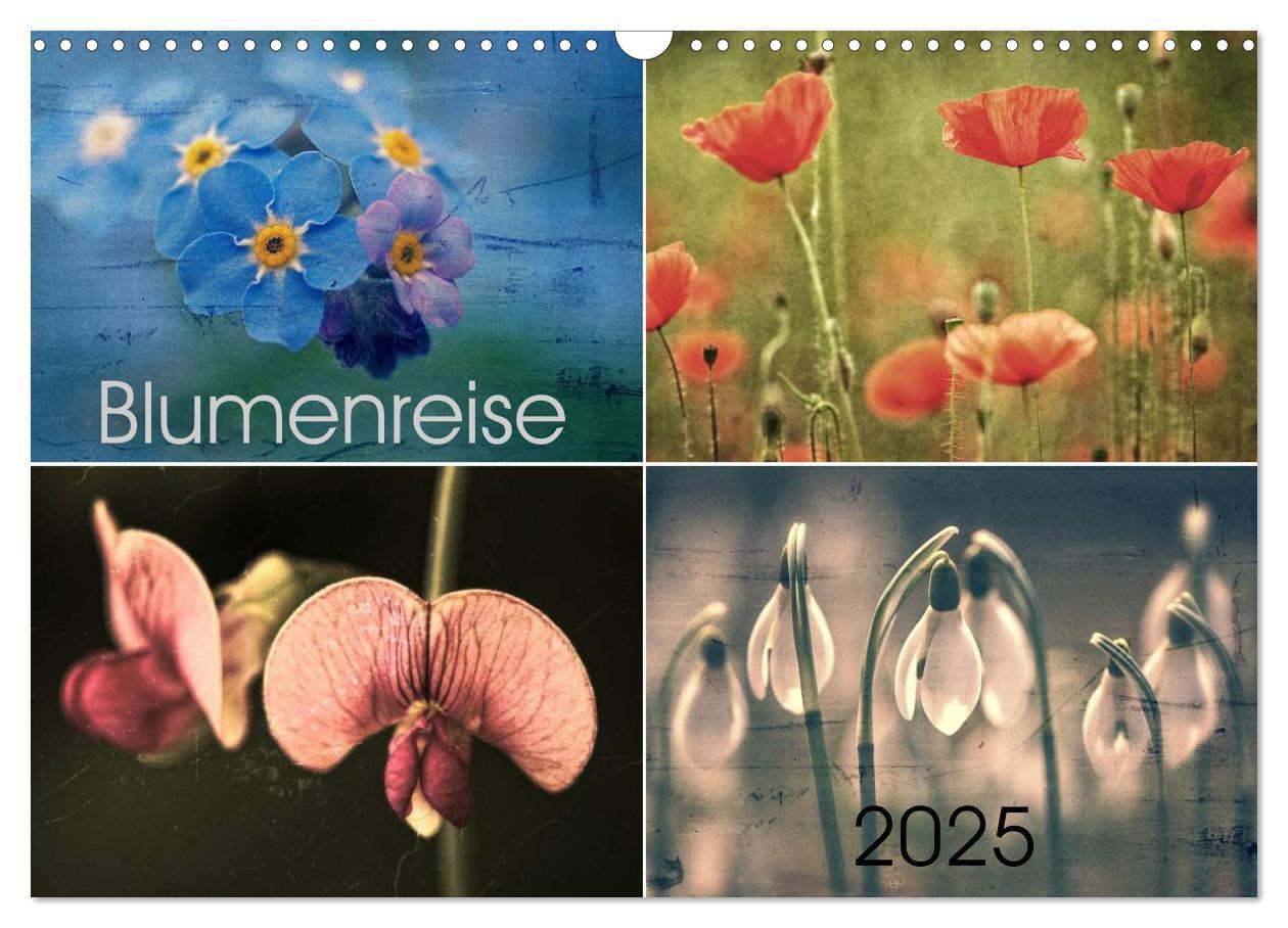 Cover: 9783435612109 | Blumenreise 2025 (Wandkalender 2025 DIN A3 quer), CALVENDO...