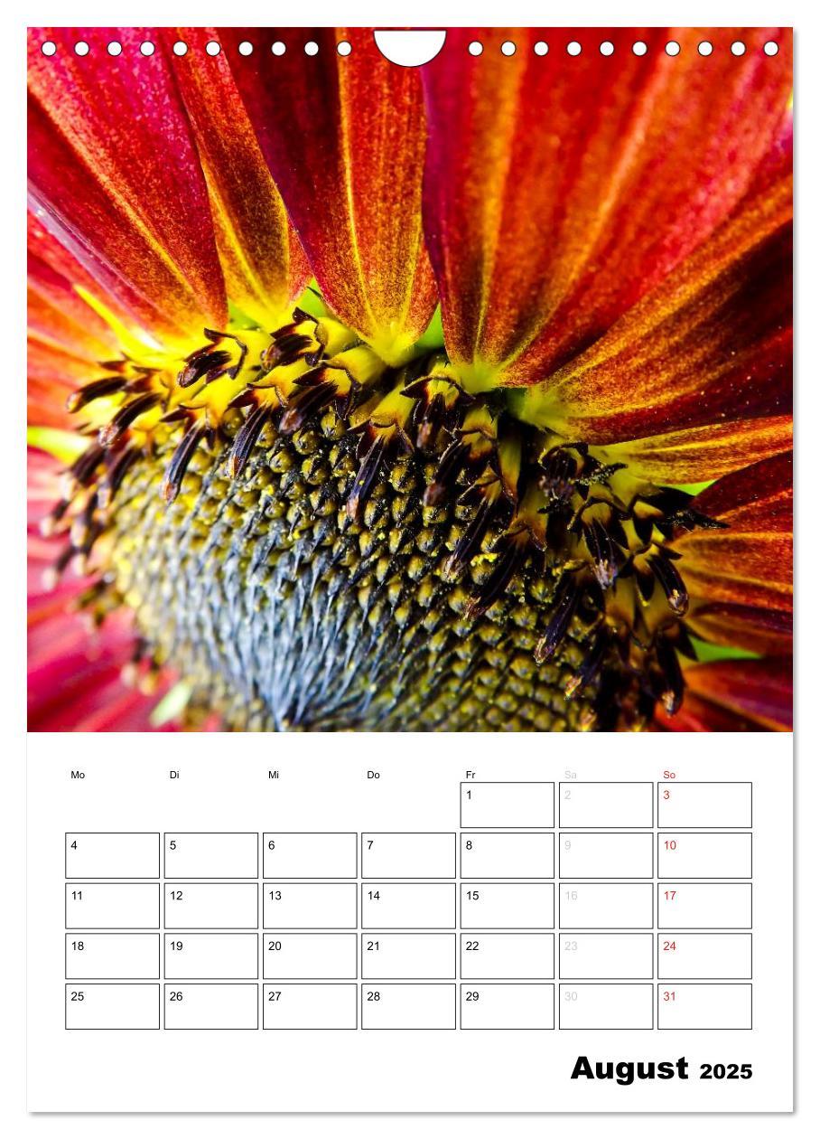 Bild: 9783457005170 | Strahlende Sonnenblumen (Wandkalender 2025 DIN A4 hoch), CALVENDO...