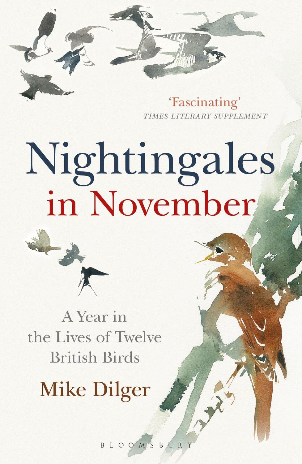 Cover: 9781472962423 | Nightingales in November | A Year in the Lives of Twelve British Birds