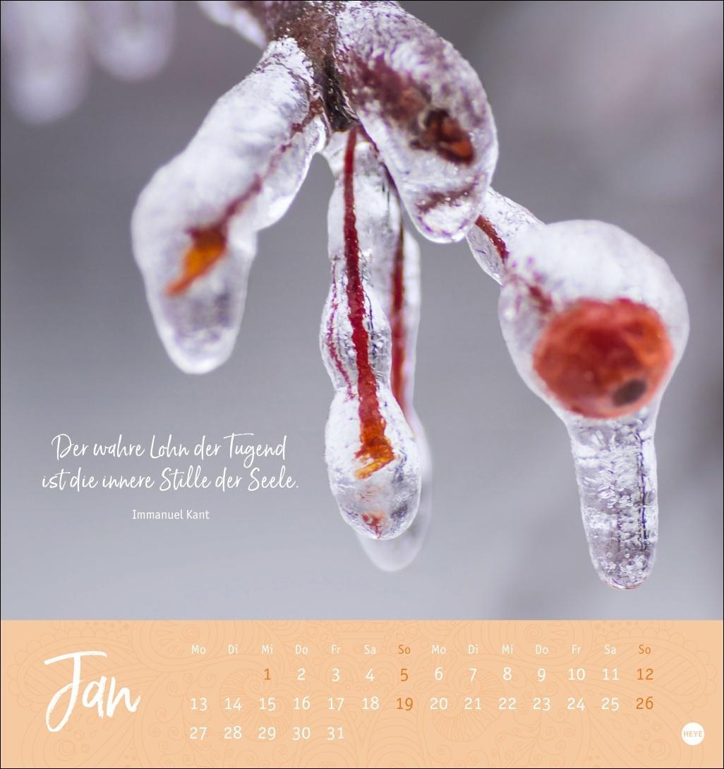 Bild: 9783756406944 | Stille Momente Postkartenkalender 2025 | Heye | Kalender | 13 S.