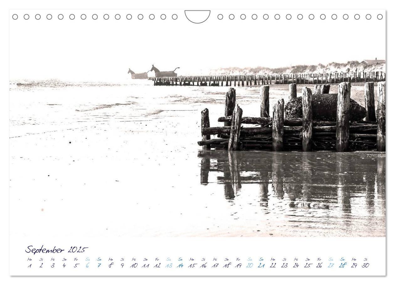 Bild: 9783435734979 | Meeresbilder - Nordsee-Impressionen (Wandkalender 2025 DIN A4...