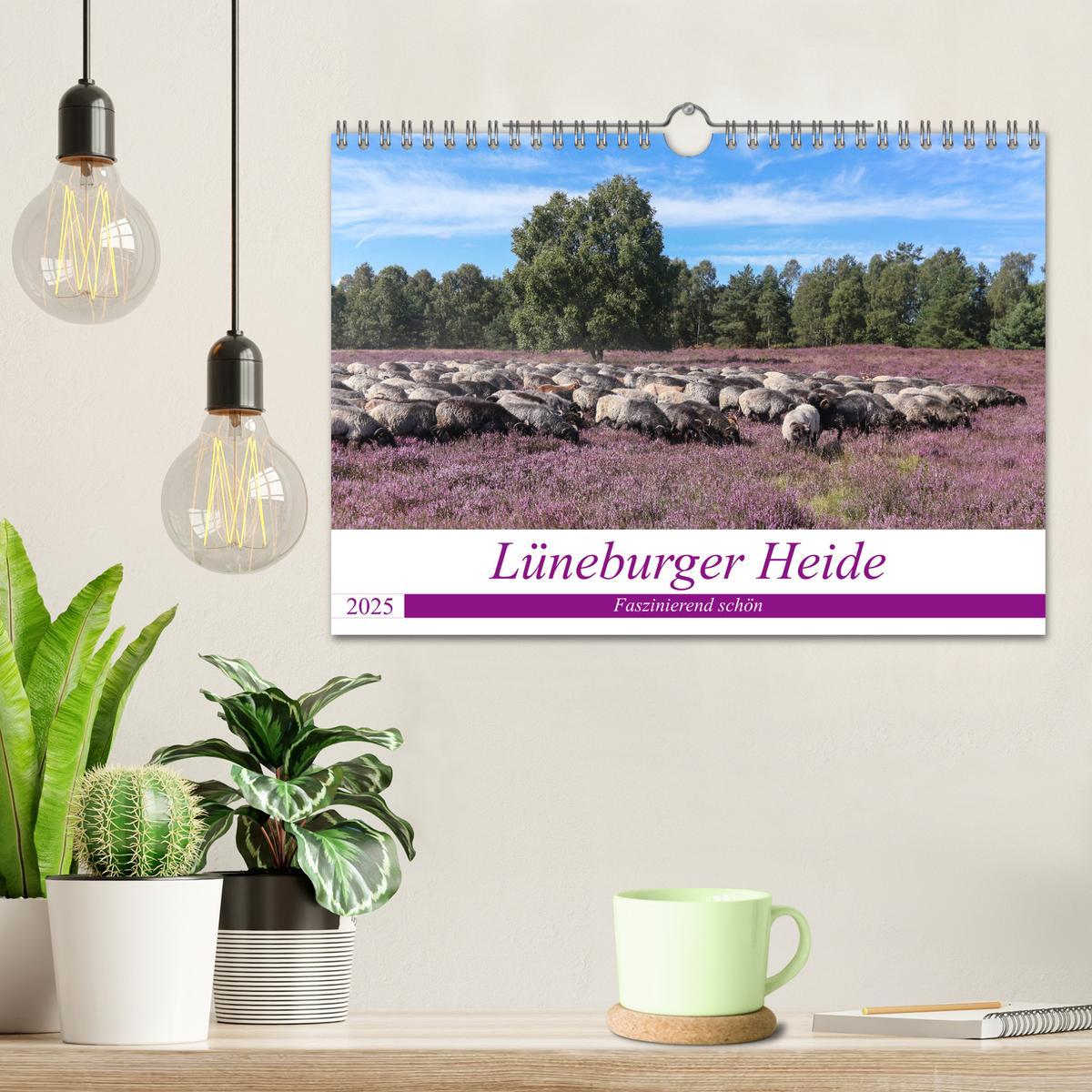 Bild: 9783435458776 | Lüneburger Heide - Faszinierend schön (Wandkalender 2025 DIN A4...