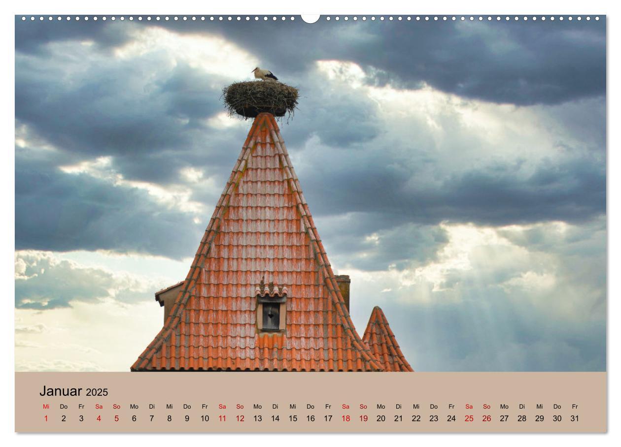 Bild: 9783435019366 | Der Storchenkalender (Wandkalender 2025 DIN A2 quer), CALVENDO...