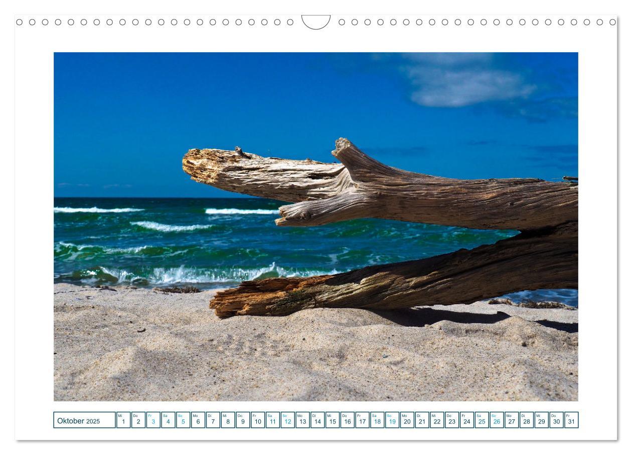 Bild: 9783457242162 | Der Weststrand am Darß (Wandkalender 2025 DIN A3 quer), CALVENDO...