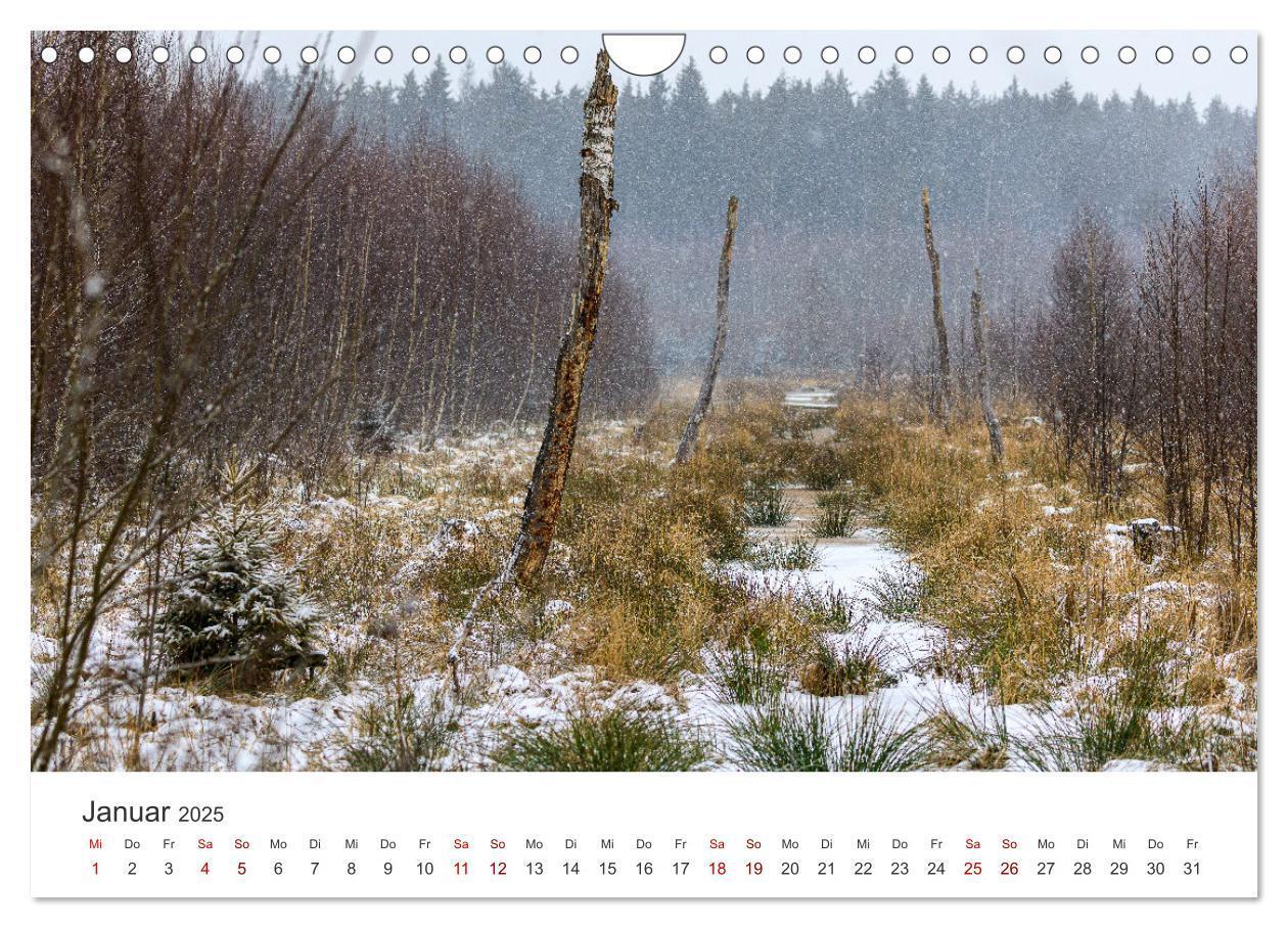 Bild: 9783383812101 | Naturjuwel Haspelmoor (Wandkalender 2025 DIN A4 quer), CALVENDO...