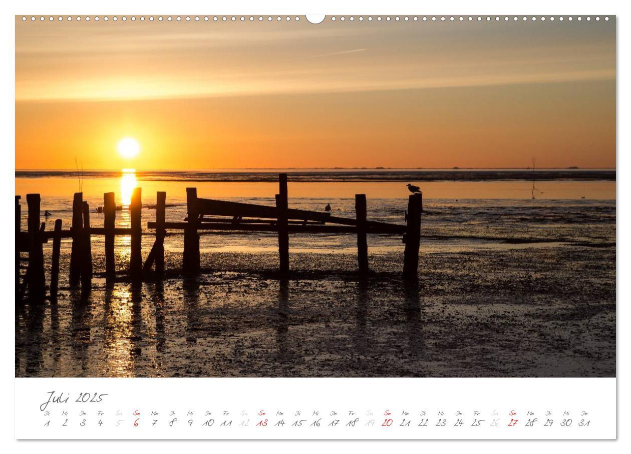 Bild: 9783435600939 | Amrum - Eine farbenfrohe Insellandschaft (Wandkalender 2025 DIN A2...