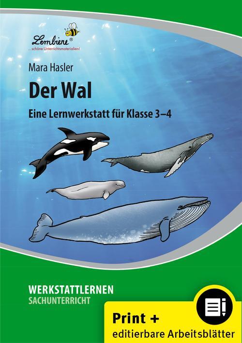 Cover: 9783869988115 | Der Wal | (3. und 4. Klasse) | Mara Hasler | Bundle | mit Downloadcode