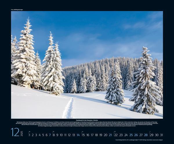 Bild: 9783731875918 | Bedrohte Naturparadiese 2025 | Verlag Korsch | Kalender | 14 S. | 2025