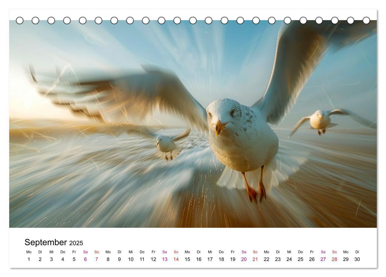 Bild: 9783457162484 | Maritim pur - Möwen (Tischkalender 2025 DIN A5 quer), CALVENDO...