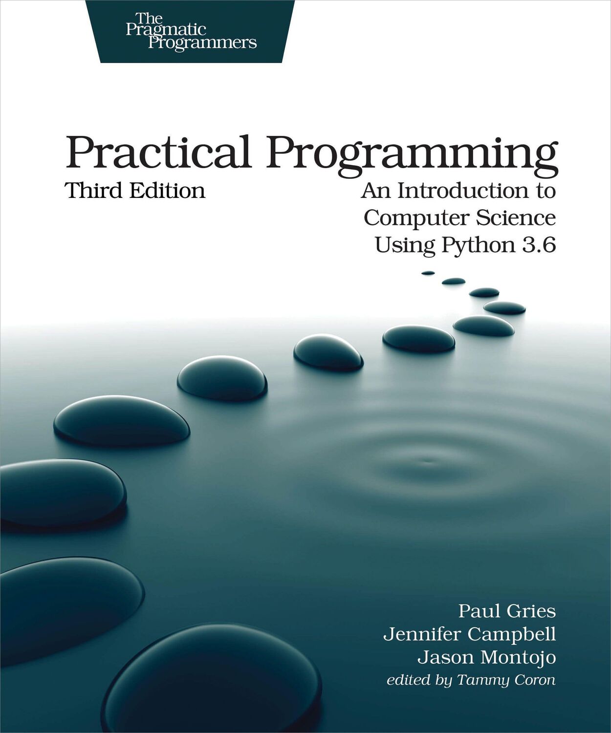 Cover: 9781680502688 | Practical Programming | Paul Gries (u. a.) | Taschenbuch | Englisch