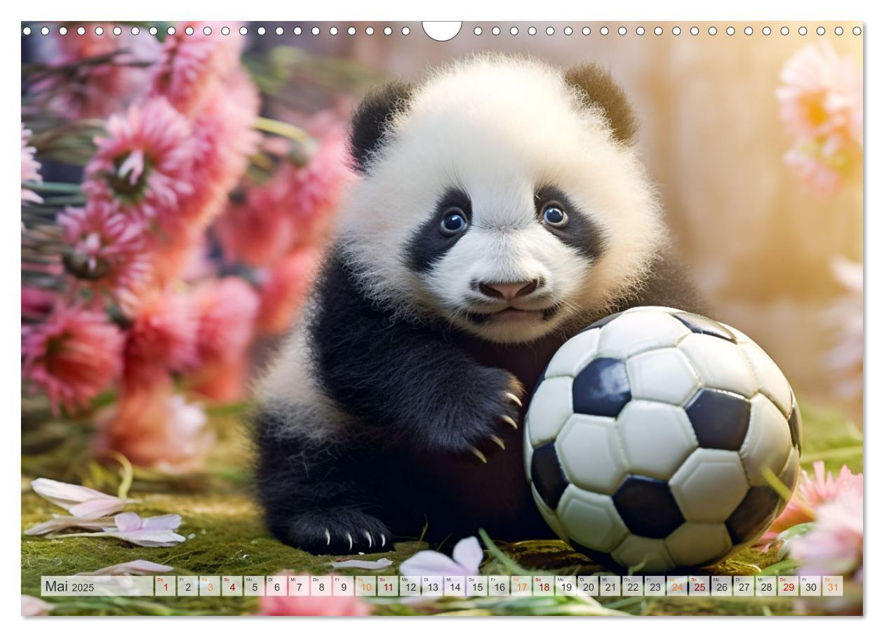 Bild: 9783383893636 | Die Abenteuer des kleinen Panda (Wandkalender 2025 DIN A3 quer),...