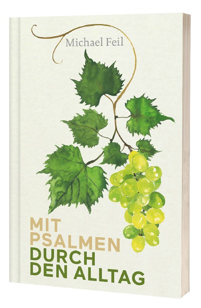 Cover: 9783460331051 | Mit Psalmen durch den Alltag | Michael Feil | Taschenbuch | 200 S.