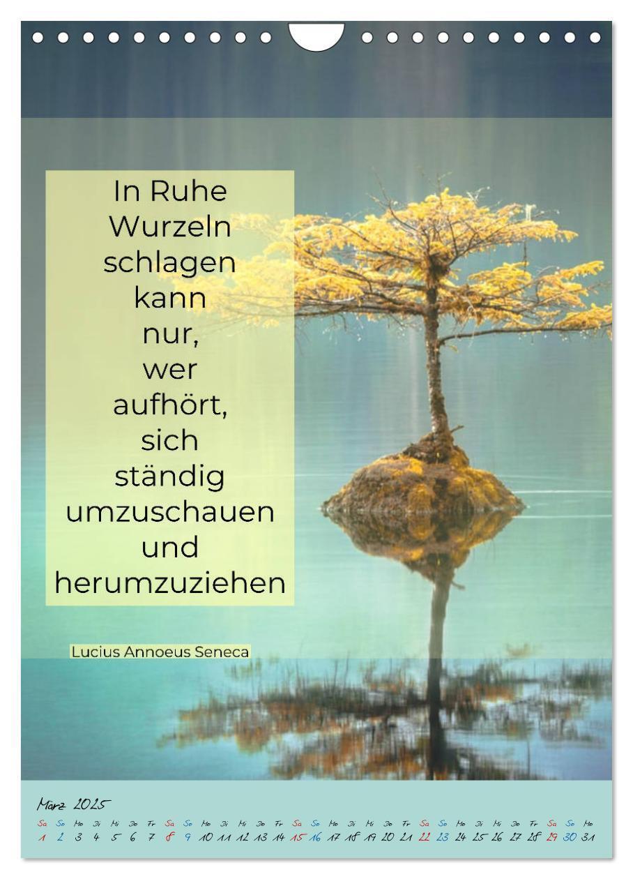 Bild: 9783435942039 | Aktiviere deine Gelassenheit Weisheiten und Zitate (Wandkalender...