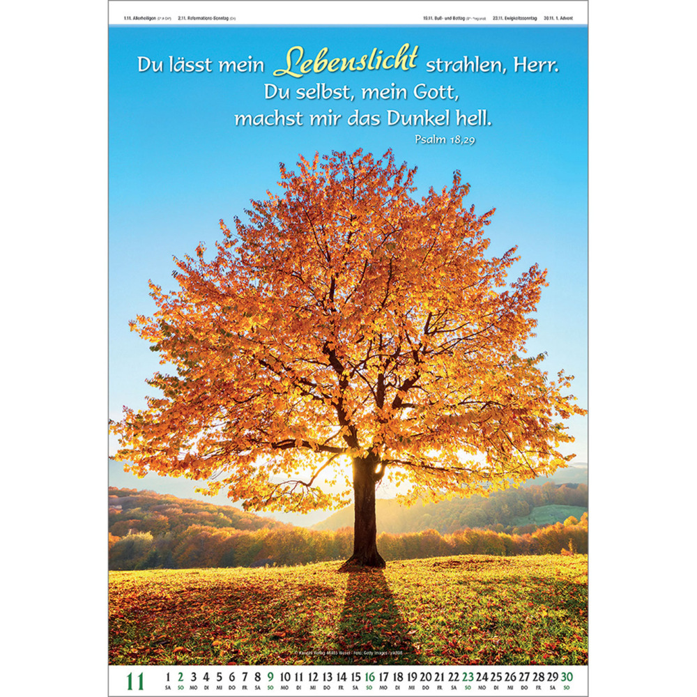 Bild: 9783754837054 | Gottes Wort - Licht auf dem Weg 2025 | Wandkalender | Kalender | 14 S.