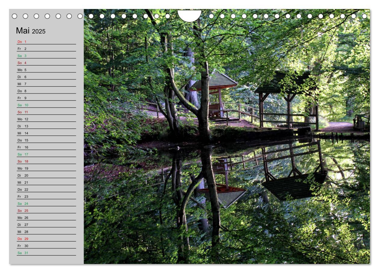 Bild: 9783435353859 | Ein Sommer in Malente (Wandkalender 2025 DIN A4 quer), CALVENDO...