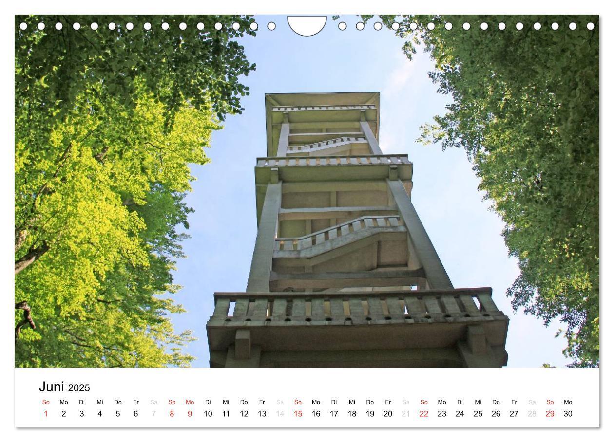 Bild: 9783435602643 | Der Ebersberger Forst und seine Umgebung (Wandkalender 2025 DIN A4...