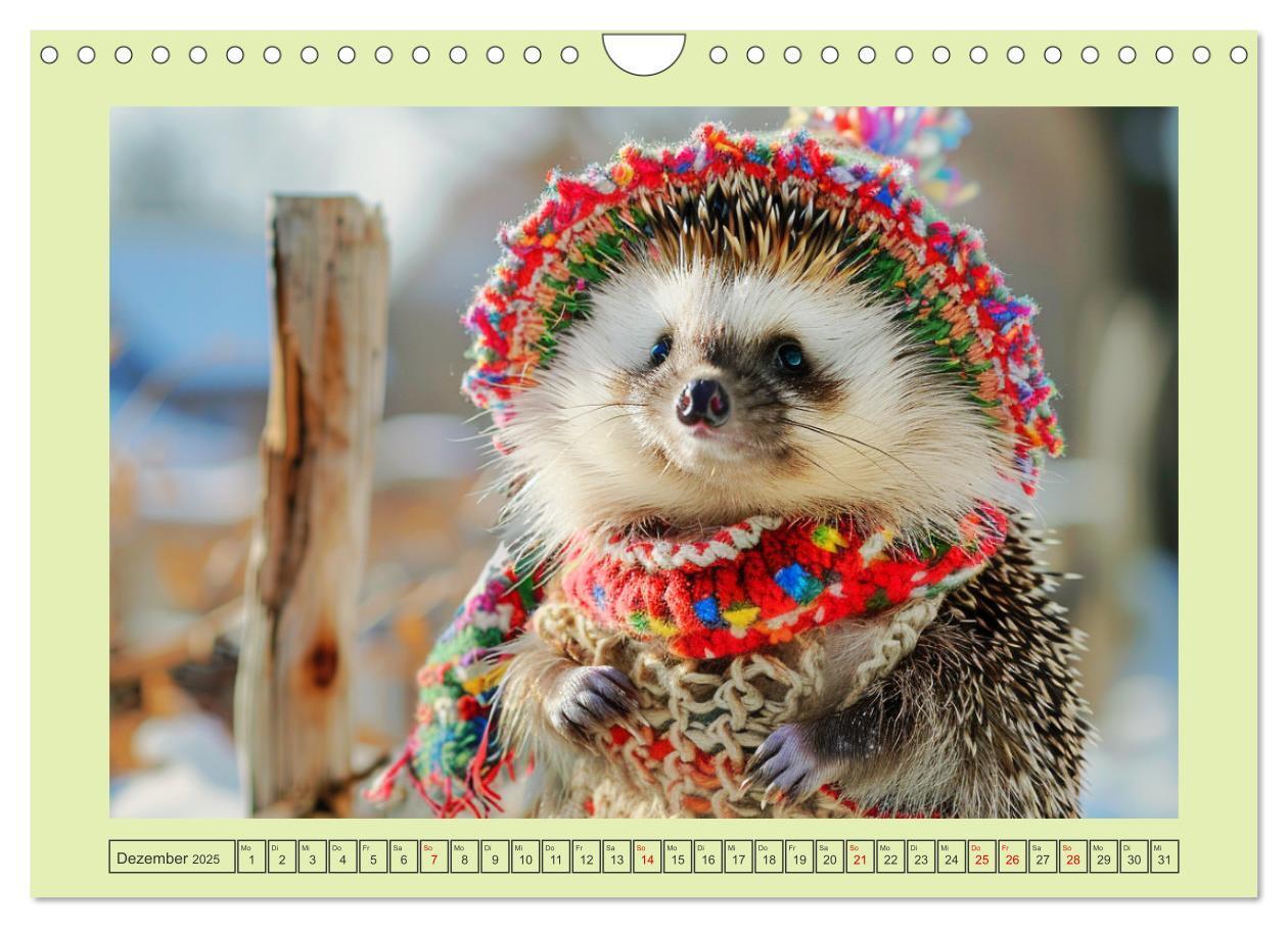 Bild: 9783435639939 | Zauberhafte Igel-Models. Blumiger Stil in der Natur (Wandkalender...