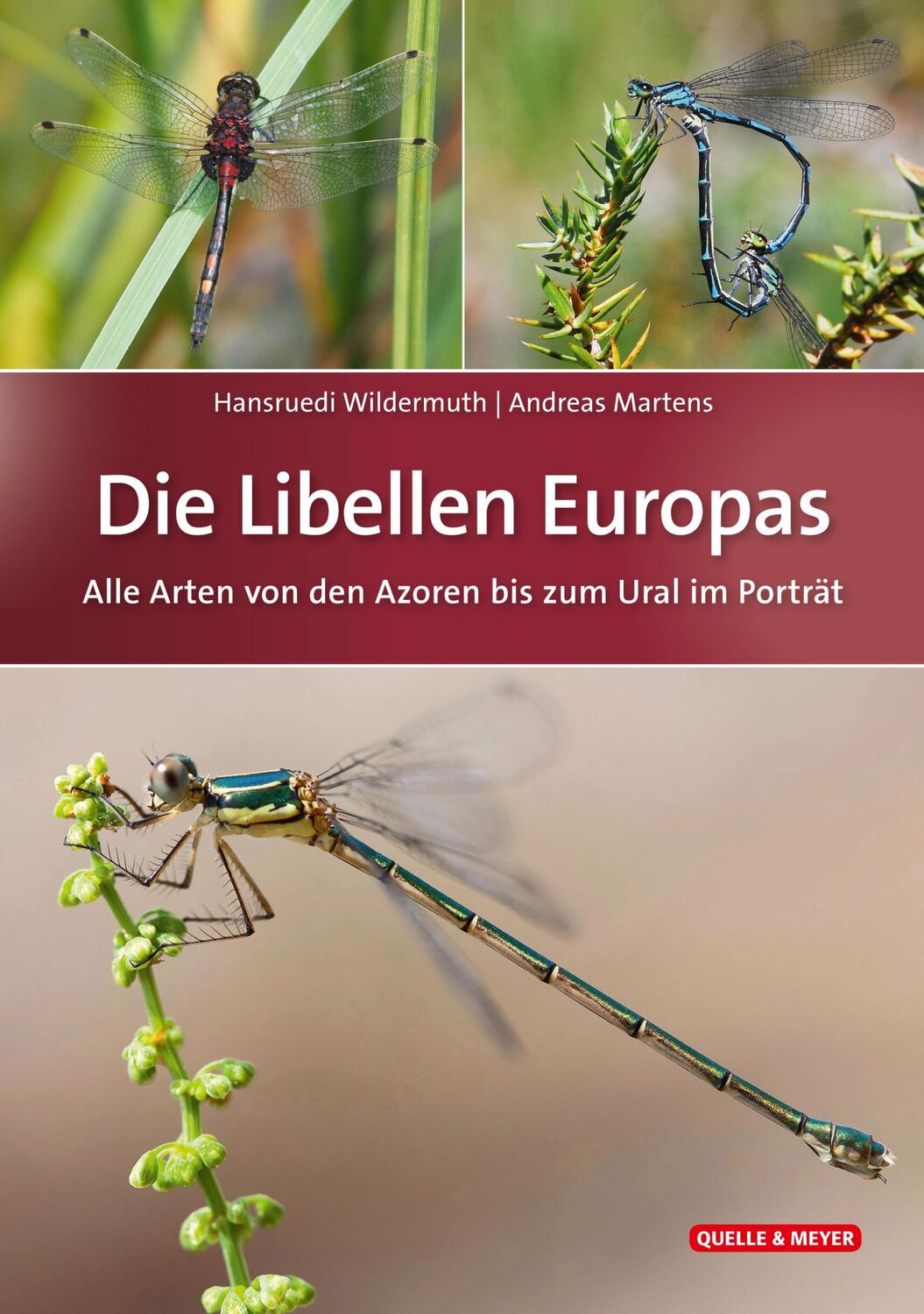 Cover: 9783494016900 | Die Libellen Europas | Hansruedi Wildermuth (u. a.) | Buch | 960 S.