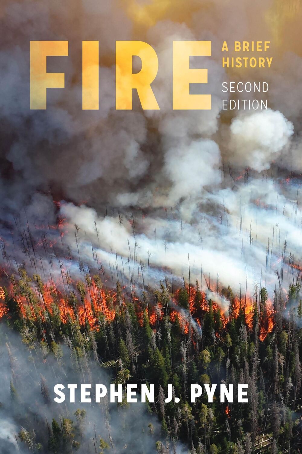 Cover: 9780295746180 | Fire | A Brief History | Stephen J Pyne | Taschenbuch | Englisch