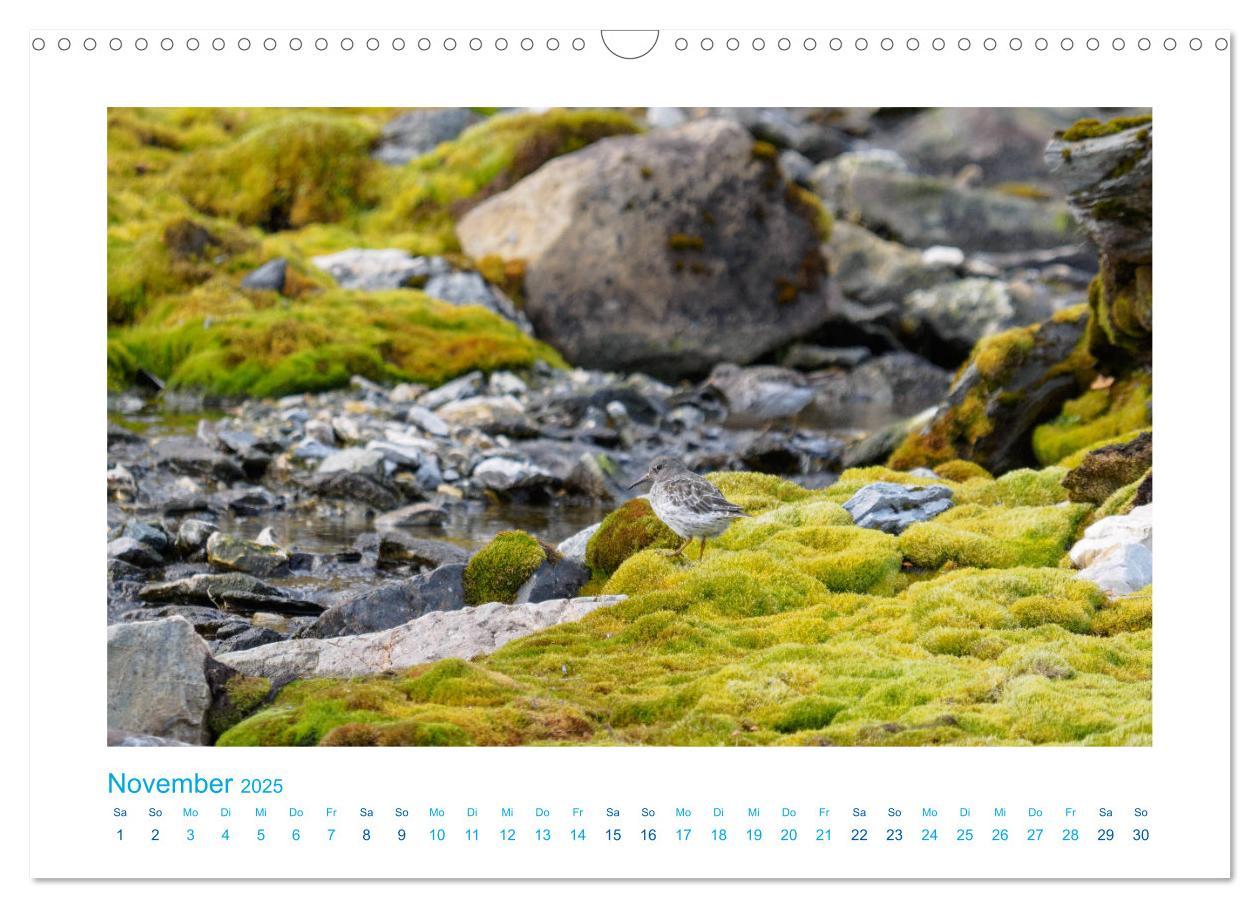 Bild: 9783435340590 | Spitzbergen - Landschaft - Eis - Tierwelt (Wandkalender 2025 DIN A3...