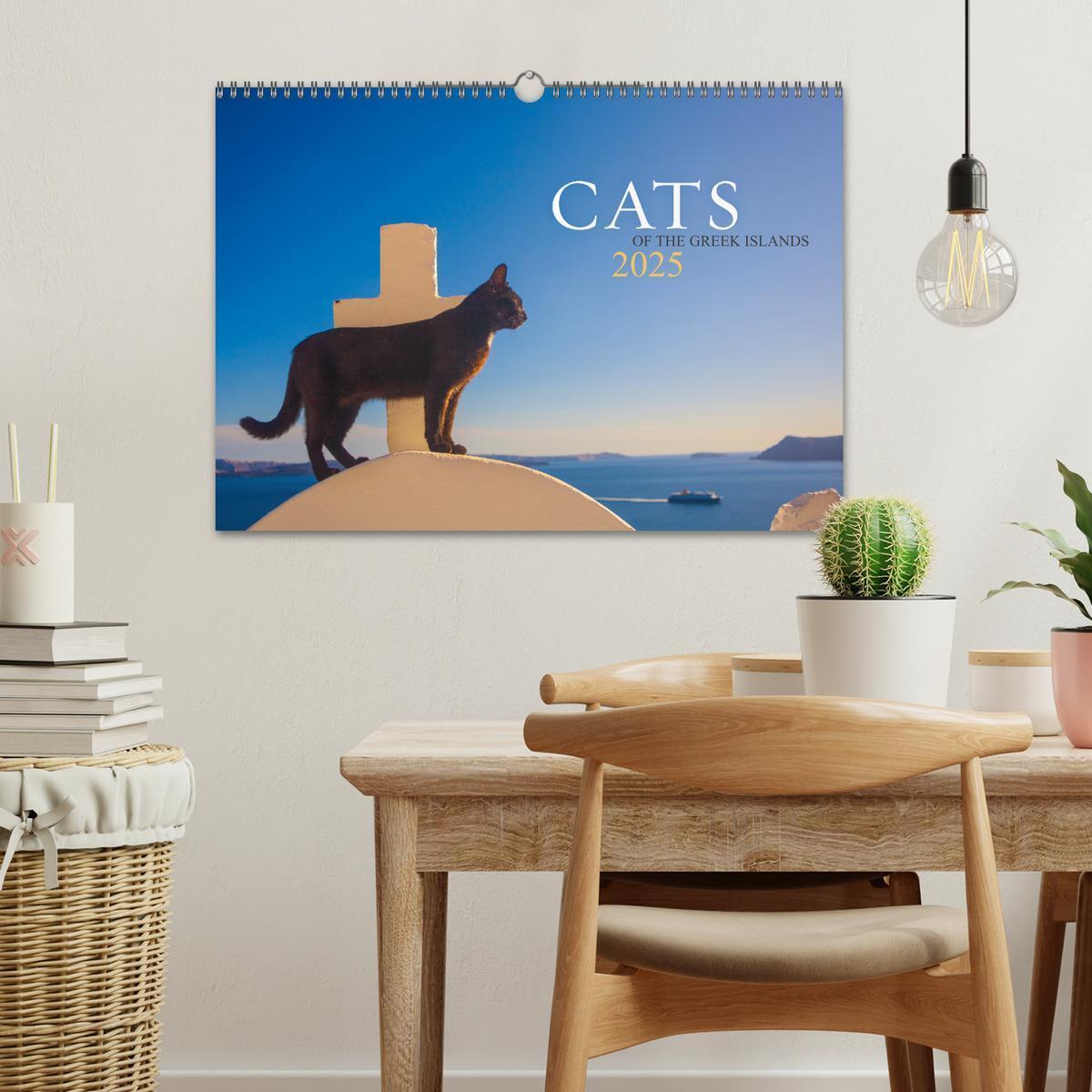 Bild: 9781325833832 | Cats of the Greek Islands (Wall Calendar 2025 DIN A3 landscape),...