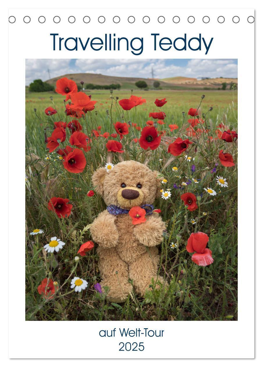 Cover: 9783435934119 | Travelling Teddy auf Welt-Tour (Tischkalender 2025 DIN A5 hoch),...