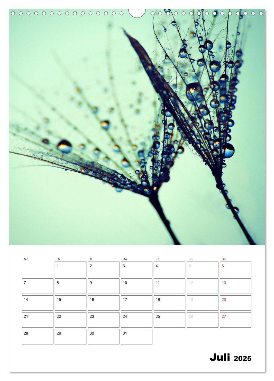 Bild: 9783457068458 | Pusteblumentraum - Dreams of Dandelion (Wandkalender 2025 DIN A3...