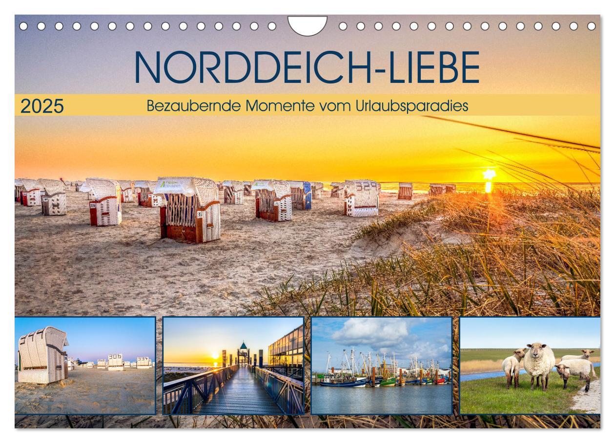 Cover: 9783435069538 | NORDDEICH-LIEBE (Wandkalender 2025 DIN A4 quer), CALVENDO...