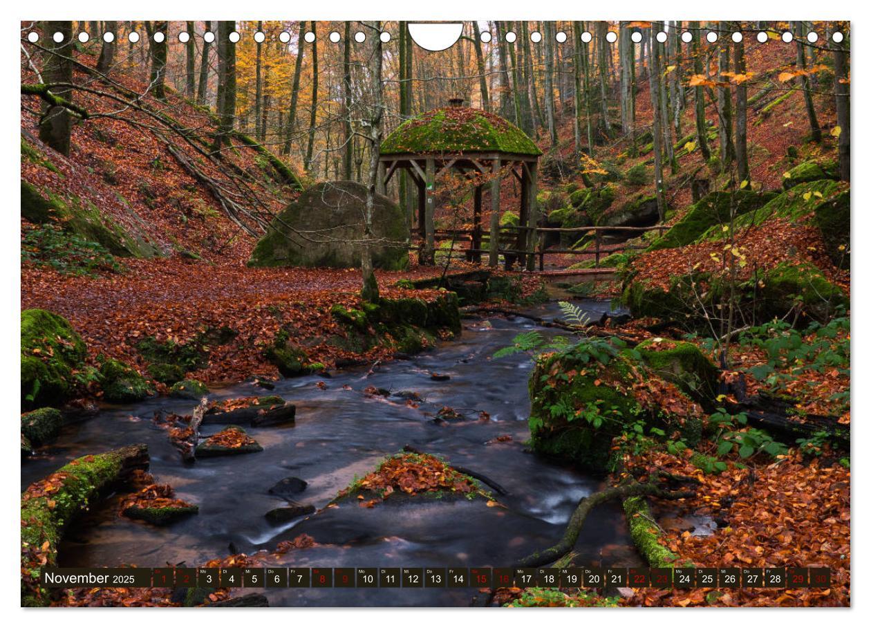 Bild: 9783435149964 | Augenschmaus Pfälzer Wald (Wandkalender 2025 DIN A4 quer), CALVENDO...