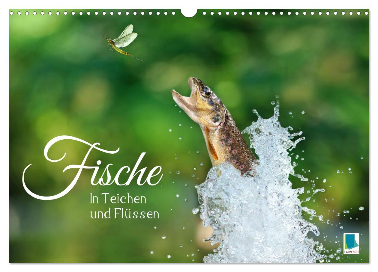 Cover: 9783383889219 | Fische in Teichen und Flüssen (Wandkalender 2025 DIN A3 quer),...