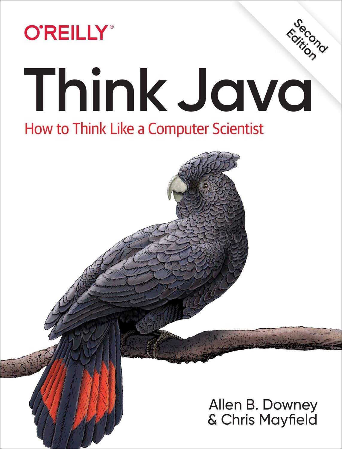 Cover: 9781492072508 | Think Java | How to Think Like a Computer Scientist | Downey (u. a.)