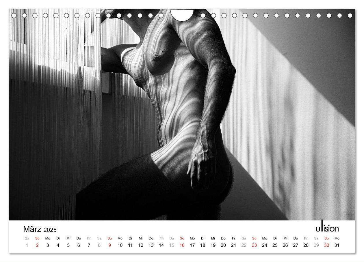 Bild: 9783435566112 | Männer AKT Art (Wandkalender 2025 DIN A4 quer), CALVENDO...