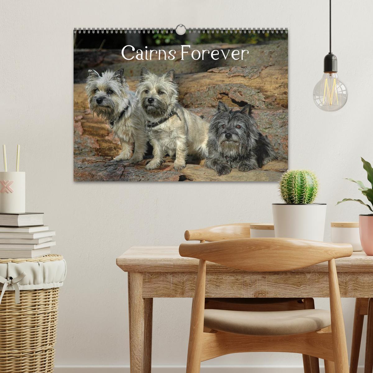 Bild: 9783435518111 | Cairns Forever (Wandkalender 2025 DIN A3 quer), CALVENDO...